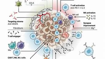 肿瘤免疫疗法：未来治疗的新希望(肿瘤免疫治疗最新进展)